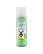 TropiClean Fresh Breath Oral Care Foam